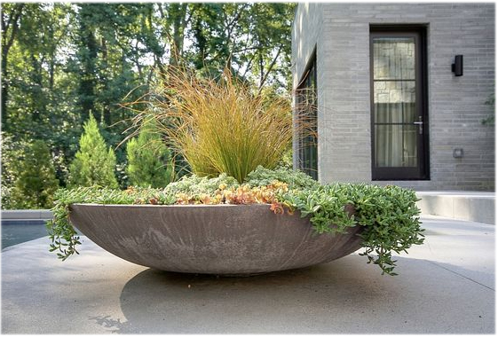 bowl planter