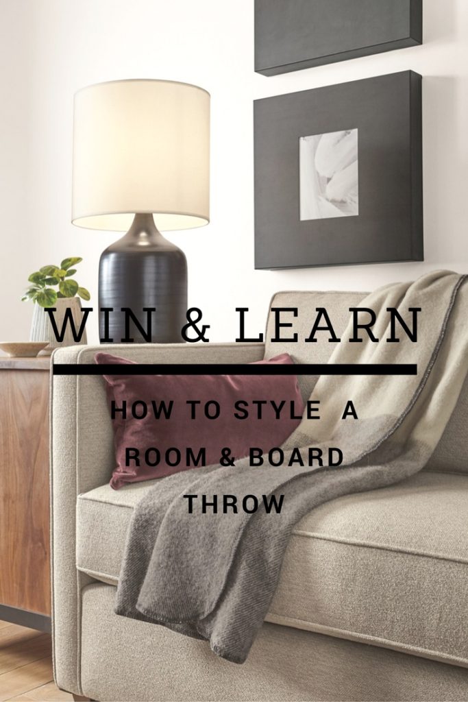 room-and-board-throw